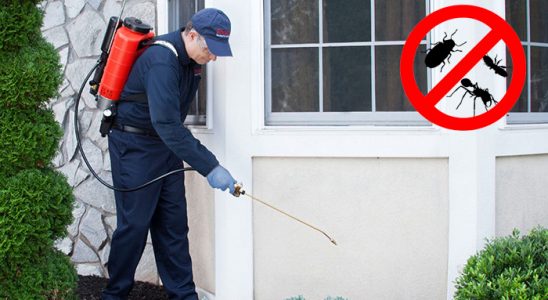 Avcılar Akrep İlaçlama böcek ilaçlama ve haşere kontrolü — ilaclama-tr.com